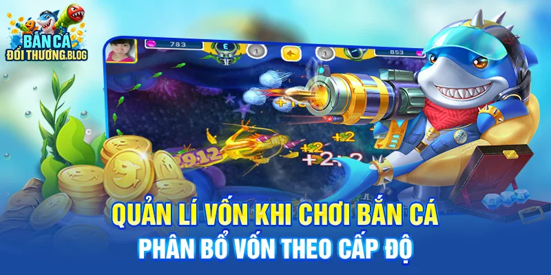 Chiến Lược Quản Lý Vốn Khi Chơi Bắn Cá 8 Quản lí vốn khi chơi bắn cá - phân bổ vốn theo cấp độ